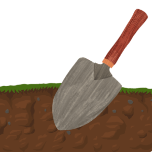 Erde / Boden Bevorzugt lockere, humusreiche Erde, die Wasser gut speichert, aber nicht staunass ist.