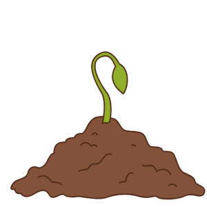 Keimung Keimt zuverlässig innerhalb von etwa 7 Tagen bei Temperaturen zwischen 22 °C und 26 °C.