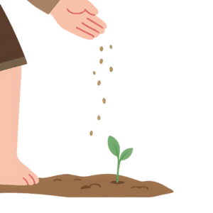 Saattiefe Samen etwa 1 cm tief in die Erde setzen und leicht andrücken.